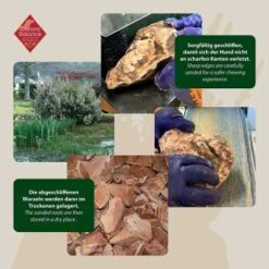 ChronoBalance Kauwurzel Für Hunde Baumheide 400 G -Zoofachgeschäft 02d91f4299eef8de1f5b0359bf410cef954de0e6 1409490 de DE ba8b2a31068658c9820512bd79f25900dbe0cd09ebMbro