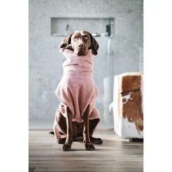 Lills Lill's Hundebademantel "Pink Berry" 35 Cm 9 Lills Lill's Hundebademantel "Pink Berry" 35 Cm -Zoofachgeschäft 04a74783d50cdc98002051c351bf7a8a33cd1745 1349655 de DE 212dae4af17564ba144b7af1fd42f4b436426636rEvFkh