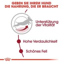 ROYAL CANIN Medium Adult 7+ 15 Kg -Zoofachgeschäft 04eb7d87df5b684583bdb34b9dbb8b3c747a2f15 46665ad1d925e10f5abd0570b28093678ef21e27