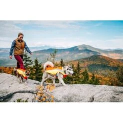 Ruffwear Lumenglow™ High-Vis Hundejacke Orange XL -Zoofachgeschäft 055f8ec457e40b7d33e9c275c20ea79bae1e006a 1378153 de DE e8b1f6094bc39d07bc90bd4fe7fc0806cf22bedaBId7iB