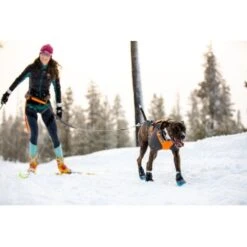 Ruffwear Cloud Chaser™ Hundejacke Schwarz XXS -Zoofachgeschäft 06cfa3a745821d84428a1de78da0089ce33c0271 1369623 de DE 87163fc3e147e303fdf97d4ab87fd720c4f34a96nSWmMF