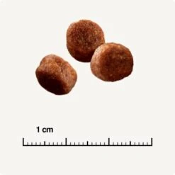 SELECT GOLD Digestion Senior Geflügel Und Reis 2,5kg -Zoofachgeschäft 0999645de19e34aac9b2c14ea642717fe4bc62d2 1001086008 de DE 6