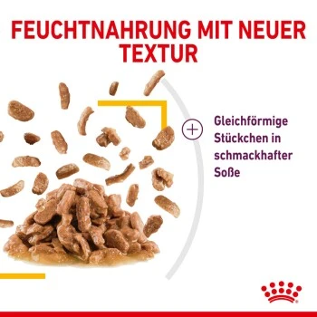 ROYAL CANIN SENSORY Taste In Soße Für Wählerische Katzen 12x85g 6 ROYAL CANIN SENSORY Taste In Soße Für Wählerische Katzen 12x85g – Bild 6