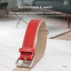 Freudentier Gefüttertes Halsband Aus Leder Rot L -Zoofachgeschäft 0f630c6f0729806bc3c30ba5c2b9c3d909c228ee 1655241 de DE 198e5678649df51bbe133097f6107207e25ec907R9K85V