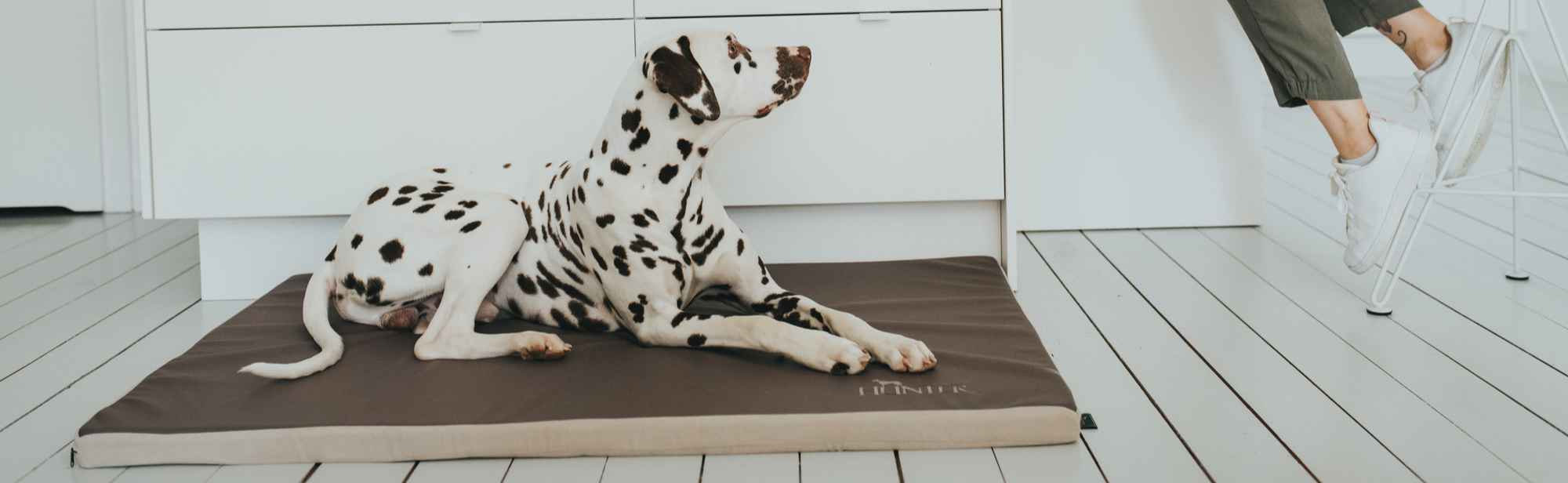 Zoofachgeschäft -Zoofachgeschäft 1