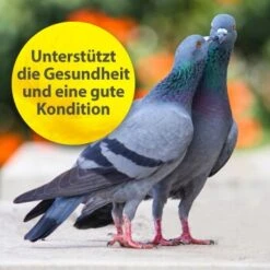 Quiko Multivitamin 375 G -Zoofachgeschäft 104df2b21f8fd9e32b99e367a9a5b3569dbad191 1387633 de DE f867bf42cdcdb7e6959667b1210fedd6d7d4c069gH7Wsa