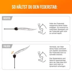 Schlitzohr Federwedel Birdy 3er Pack -Zoofachgeschäft 16072e01b419f04186b3ef116d6cd36b37e5e14d 1659562 de DE 14a63acfadc12c43ff7fa0cac6e3fa04d776aa75sEyDpP