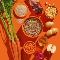 Fred & Felia FRED 10x390g Pute Mit Kartoffeln -Zoofachgeschäft 1655acad8ebb56aa0d42a817c2dd422fb43d66de 1422052 de DE b38968899d5aadb6bb2af01d15d7f083155a7458pbvP7f