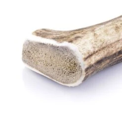 Larsson Geweih L Ca. 120-160g -Zoofachgeschäft 16628a63cb387a462d77cd608be46a48db5f4900 1057933 de DE 747de37a3b9f5850a9906915adf22030bae8f825ucH14V