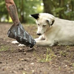 Lionto 900 Hundekotbeutel, Schwarz/grün -Zoofachgeschäft 17d84f00e6e089a625e4a7445a96fed1a09bb2f4 1505073 de DE c0948f5c29f13d2cf13d5fe146c78c3bdc08027cV7CBfj