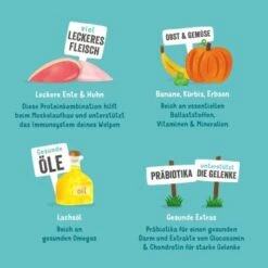 Edgard & Cooper Junior Mit Ente & Huhn 6x400g -Zoofachgeschäft 192e4d47955dc866ec2b0108c3c64927f9773eed 1343000 de DE EC Junior EnteHuhn 10