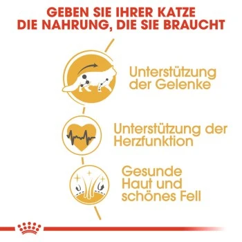 ROYAL CANIN Maine Coon Adult 10 Kg 8 ROYAL CANIN Maine Coon Adult 10 Kg – Bild 8