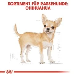 ROYAL CANIN Chihuahua Adult 12x85g -Zoofachgeschäft 197d45cb7575160e4d31cd104a5e5841d9299ef7 f715e0902cfbc2b880c867fd6b8875c02d62af99