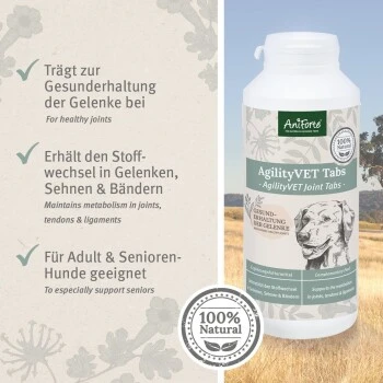 Aniforte AgilityVET Gelenktabletten 300 Stück 3 Aniforte AgilityVET Gelenktabletten 300 Stück – Bild 3