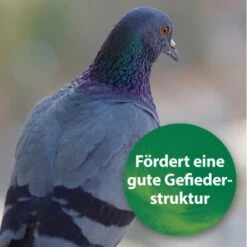 Quiko Spirulina 250 G -Zoofachgeschäft 1d197f2e004bf765dcdb99f3cb777c57285c03ed 1387640 de DE 185e18e93f54cb0130b70ffb741d9e21c1c0250eZ39B4c