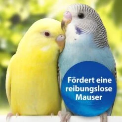 Quiko Biotin M 150 G: Unterstützt Die Mauser Von Ziervögeln 6 Quiko Biotin M 150 G: Unterstützt Die Mauser Von Ziervögeln -Zoofachgeschäft 1edb379122303e5bd6851c962595f5914d97ad79 1386532 de DE d423967889f663d8a9511c722121183787861b26YUo6R2