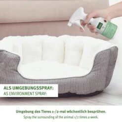 Aniforte Zeckenspray Für Hunde 100ml -Zoofachgeschäft 1f85d440ca1eeee643e4f393ee7d5ae590b94bfc 1501153 de DE a91102feca03452136bdb7a3a5e555023f3cd93dLCLj1o