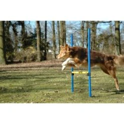 Dobar 3-teiliges Agility Sprung-Set,, Inkl. Tragetasche -Zoofachgeschäft 23438a1c89953580debb447a4f2a6705cf109122 9daba483a29d35b05cf9df2cf0269c15e7db3ed2