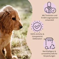 FAVLY Petfood PURE Bites Hirsch 360 G -Zoofachgeschäft 236dbc85f5fb75ec5fb4367bde1445e3087ffdcd 1474003 de DE 80624b888460a5c29f043365a19496292e44fd84TlIvR8