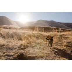 Ruffwear Hover Craft™ Spielzeug Orange -Zoofachgeschäft 23f3ce0fb188e4f5a253007adc90481d6747961b 1364297 de DE e44fe3627eb338195cfdd7c589598a8edb05def2xpzXS1