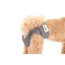 Lills Läufigkeitshöschen "Lou" Pink Berry Grau XXL 7 Lills Läufigkeitshöschen "Lou" Pink Berry Grau XXL -Zoofachgeschäft 2510182477e0473189522ab4c4eec9318a5ab186 1662393 de DE e81483ca839e45ba2b9fb54d71ddd02dbfa55b06LbZw0y