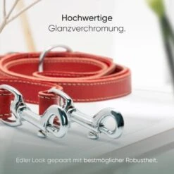 Freudentier Hundeleine Aus Leder, Verstellbar Rot 2 Cm -Zoofachgeschäft 27384e1ec1858505aadc4783280d08611aa12c20 1655244 de DE 83aa8337fbb05a17a78b14fafbd96e5947756cf1BBcg2d