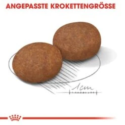 ROYAL CANIN Medium Adult 7+ 15 Kg -Zoofachgeschäft 287acfd0f9a5d960adefc0d31985c0030a54ad32 fba25e4adcc0f30cdea8227f66b5905a08faaddf