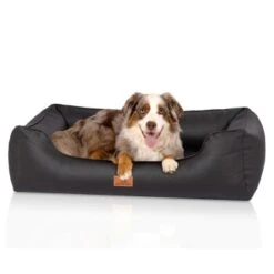 Knuffelwuff Orthopädisches Hundebett Montana Aus Kunstleder Schwarz M-L 7 Knuffelwuff Orthopädisches Hundebett Montana Aus Kunstleder Schwarz M-L -Zoofachgeschäft 28bd0f32b8e066fb3bb020d5ad220a1937d75ced 1412170 de DE 7311c0c4c8e49d71195954eef00a36c1518080fd4vE1hu