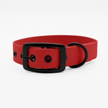 THE DOG IDEA Biothane Halsband Rot Schwarz XS 3 THE DOG IDEA Biothane Halsband Rot Schwarz XS – Bild 3