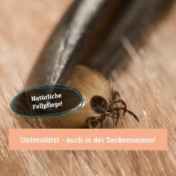BeG Buddy Fellspray Zecke 9 BeG Buddy Fellspray Zecke -Zoofachgeschäft 297119792bee87c54c4080010b8d6149223d300c 1457254 de DE b0426d8711049b0aafb9b17aaa93a89672536d279Kmo8x