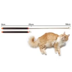 Schlitzohr Stabile Katzenangel Arnold -Zoofachgeschäft 2b03aaa8061d454c3b132f3d29075b579f022315 1484671 de DE 4db6a969e0582cf4b987acff93cb66c6c6149da6OAB1hx