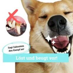 BeG Buddy Zahn Weiß Dental Spray, Zahnpflege & Maulhygiene Hund -Zoofachgeschäft 2b26d8c9897450ebcdc3208b54321074a39fd8e8 1457255 de DE d036d3de3fb2bf618dcbd8071c7342bd7ffedc2f5CGqW6