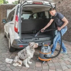 THOMAS Boxer -Zoofachgeschäft 2b38b8d6abd2c0242a46e38b7e2bf51be1bb77c9 1406732 de DE 6c3f4b0d9f9b2b78d207372e0259202804743e2eRxpvll