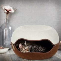 Canadian Cat Company Filz Katzennest 2.0 Weiß -Zoofachgeschäft 2d709df44822ed1c554e77257ea4f2826b7f6ee6 1412670 de DE f4bc2f42c404e1ae32cb86346c8e995f0178b889j3OAow