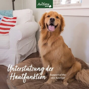 Aniforte Plus Fell & Haut 90 Tabletten 4 Aniforte Plus Fell & Haut 90 Tabletten – Bild 4