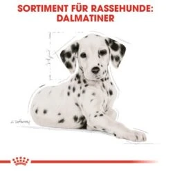 ROYAL CANIN Dalmatian Puppy 12kg -Zoofachgeschäft 3036b86ea4ce88871062b93c88ca9a8de810c8ed 68024b37a164808455acf8365f33d66401b0231f