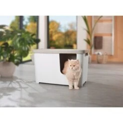 MORE FOR Katzentoilette XXL Titan -Zoofachgeschäft 331a65ecbdbda6a54304894f23caf93293414f9a 41a7dcb3b92b8da7531785b268f381c1b25bbf04