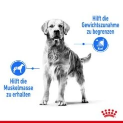 ROYAL CANIN Light Weight Care Maxi 12 Kg -Zoofachgeschäft 3420e395ded3d89391d4817244d7dc03ba33daa9 1376170 de DE aoks 4