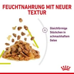 ROYAL CANIN SENSORY Smell In Gelee Für Wählerische Katzen 12x85g -Zoofachgeschäft 3469e2789c9f64bff26f87bbac39ba0a4ed440ea 45f33cf5dbb691236fc67f7b11a07842abb35bb4