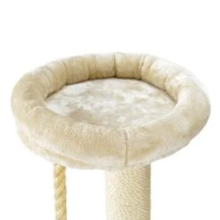 MORE FOR Kratzbaum Gaspar -Zoofachgeschäft 346bd813083f35819a8ccf0fe220c0a00f77a1d6 5c3bcdd0b21c972ac913633a5bf9c1cdd41b8b51