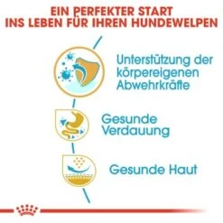 ROYAL CANIN Französische Bulldogge Puppy 10 Kg -Zoofachgeschäft 34ed88d56e0be1cc0a286c4ecd66a1af31d1100e 2bf488555545c9acb1d0d947f06389b7a3324357