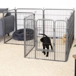 Lionto Freilaufgehege Welpen Gitterfreil 60 Cm, 1 Cm, 80 Cm -Zoofachgeschäft 36b609c51e916046b581efda5ea6811e2c829bd8 1498016 de DE 794da90c9076c5cc9e9eae67a633691d7c219be8EE6Vlo