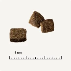 REAL NATURE WILDERNESS Adult Mixpaket Mixpaket 1, Mix-Pack -Zoofachgeschäft 38c9fddfde6e364977836a7419845bd5679c428a 1267097 de DE 6 savannah 1173938004