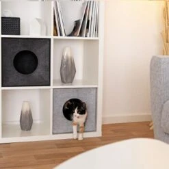 Lionto Katzenhöhle Aus Filz, Regalhöhle Hellgrau 10 Lionto Katzenhöhle Aus Filz, Regalhöhle Hellgrau -Zoofachgeschäft 3c5d584027a6e3b26513e541aa58d28bf163eba5 1657088 de DE 08ba330c4edc4dd9925351943ddeb35e95610dc5ibJstM