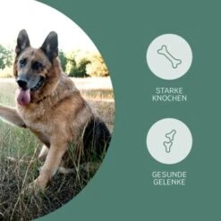 Mammaly Happy Hips 110g -Zoofachgeschäft 3c8bff51a0475eda30226950bbfaf91b8c4d5bf4 1472886 1 3