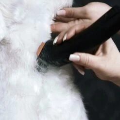 Moser Schermaschine Arco Pro -Zoofachgeschäft 3e5298b3656d28f017bce510a0e1de7f397c869d 116095204b214f2dcd4eabf0f13676dba14e1568