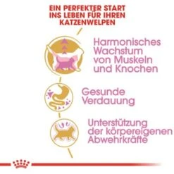 ROYAL CANIN British Shorthair Kitten 2 Kg -Zoofachgeschäft 3feab8717345fb55fe890c564cd1933a92234494 8fcb8d730ecfafe8fb567de5d1188cbf674cf65f