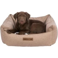 Trixie Bett Farello Braun 50 Cm, 25 Cm, 50 Cm 5 Trixie Bett Farello Braun 50 Cm, 25 Cm, 50 Cm -Zoofachgeschäft 4027e63d9476c44d9d7f695714f196e2905cdc30 1383453 de DE 448cc0da43e601f2ae93dd23795f3e23f2e1d335ibC2Wc