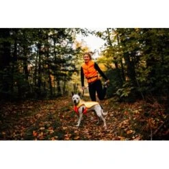 Ruffwear Lumenglow™ High-Vis Hundejacke Orange XL -Zoofachgeschäft 40663366cb362acd2f222531a6c489c5dd028940 1378153 de DE 6ea16c8681e07ff1404b1bde8c0b1b4ddb6fa478XOeqLy
