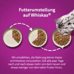 Whiskas Tasty Mix Multipack Chef's Choice In Sauce 40 X 85g -Zoofachgeschäft 409f4c41204a67499d9e04ea40f469165fcf23ac 1410720 de DE Whiskas 4